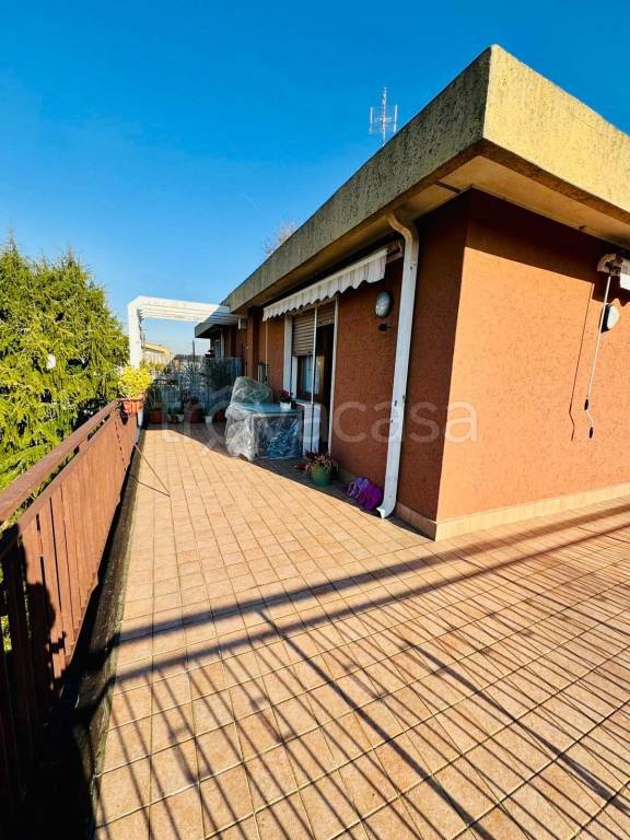 immagine annuncio 7 di 15