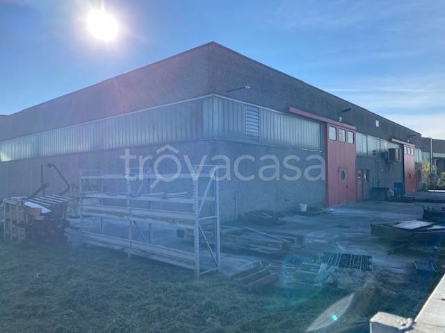 immagine annuncio 9 di 12