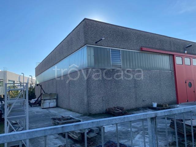 immagine annuncio 2 di 12