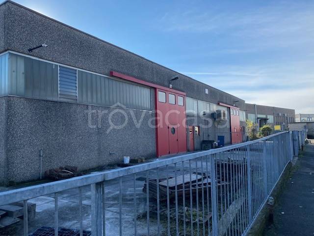 immagine annuncio 3 di 12