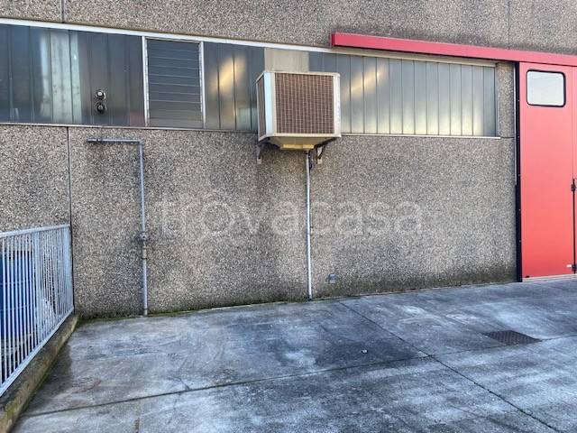 immagine annuncio 4 di 12