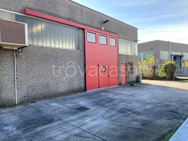 immagine annuncio 5 di 12