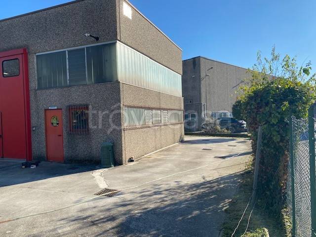 immagine annuncio 6 di 12