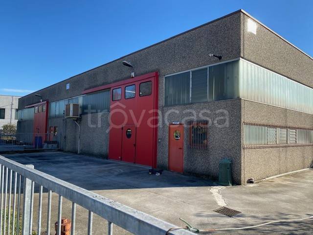 immagine annuncio 1 di 12