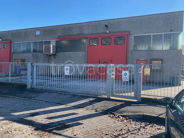 immagine annuncio 7 di 12