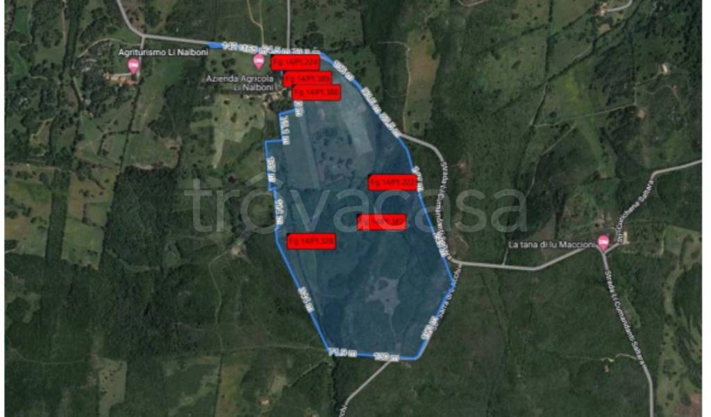 immagine annuncio 2 di 12