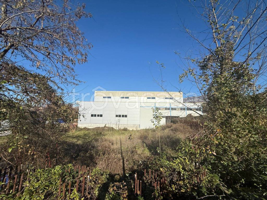 immagine annuncio 1 di 6