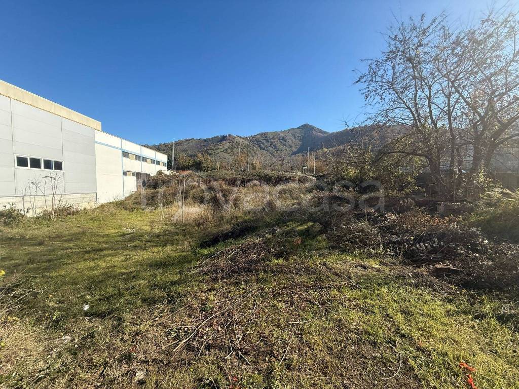 immagine annuncio 3 di 6