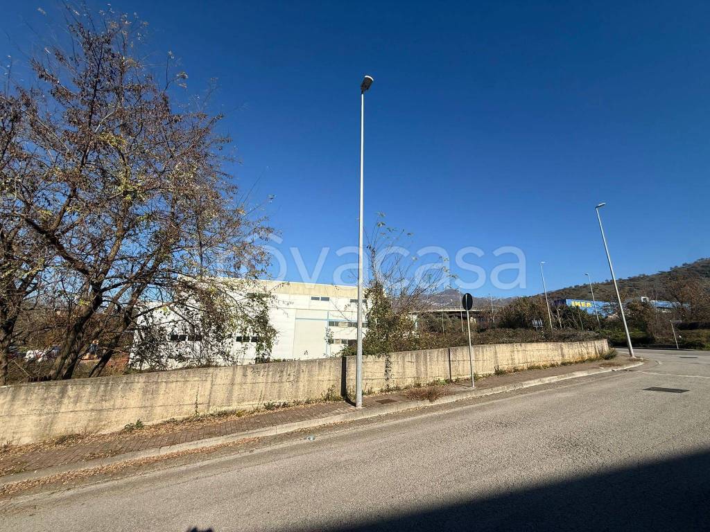 immagine annuncio 4 di 6