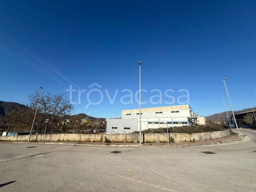 immagine annuncio 5 di 6