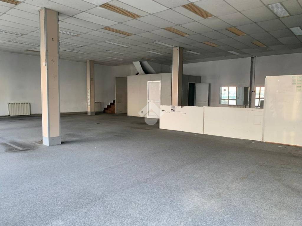 immagine annuncio 1 di 14