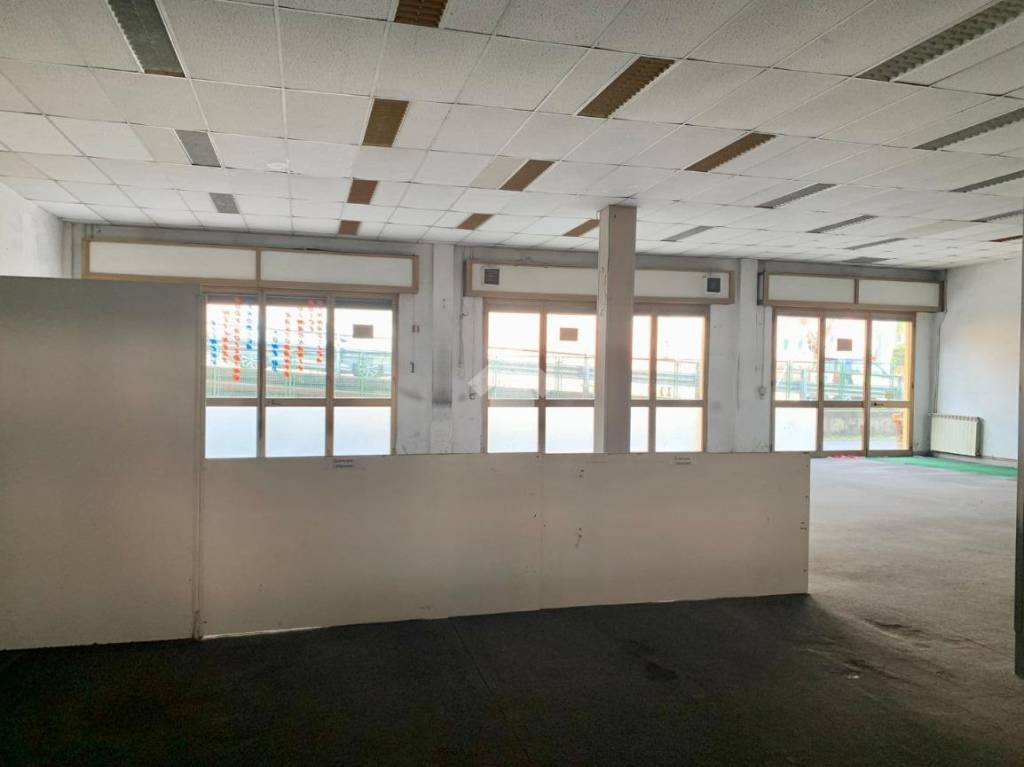 immagine annuncio 2 di 14