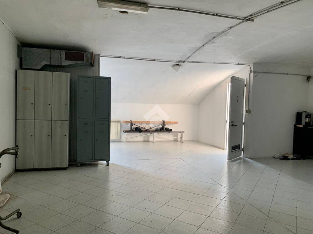 immagine annuncio 4 di 14