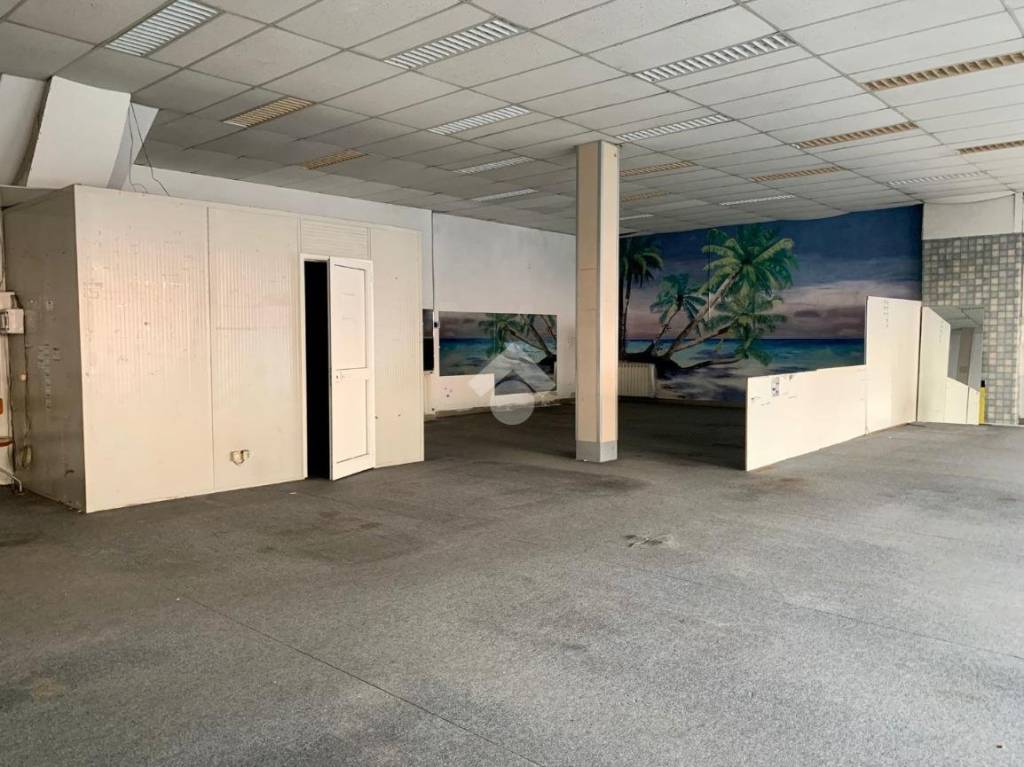 immagine annuncio 6 di 14