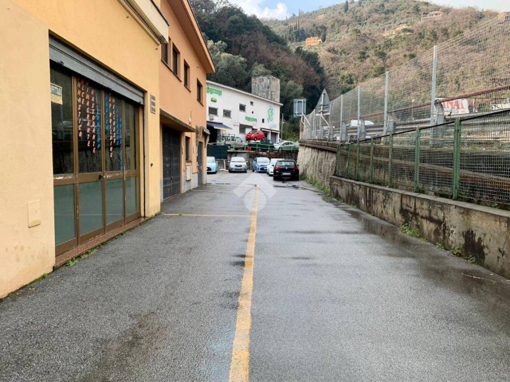 immagine annuncio 11 di 14