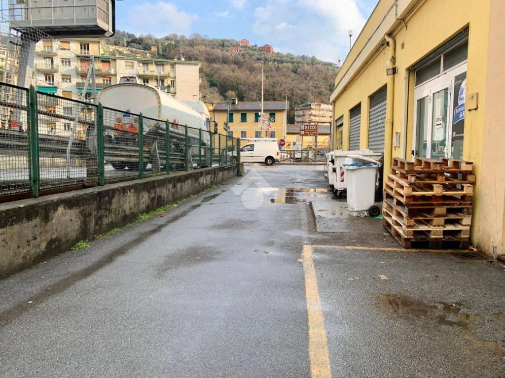 immagine annuncio 12 di 14