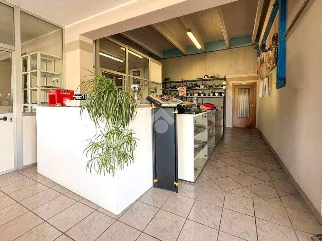 immagine annuncio 13 di 15