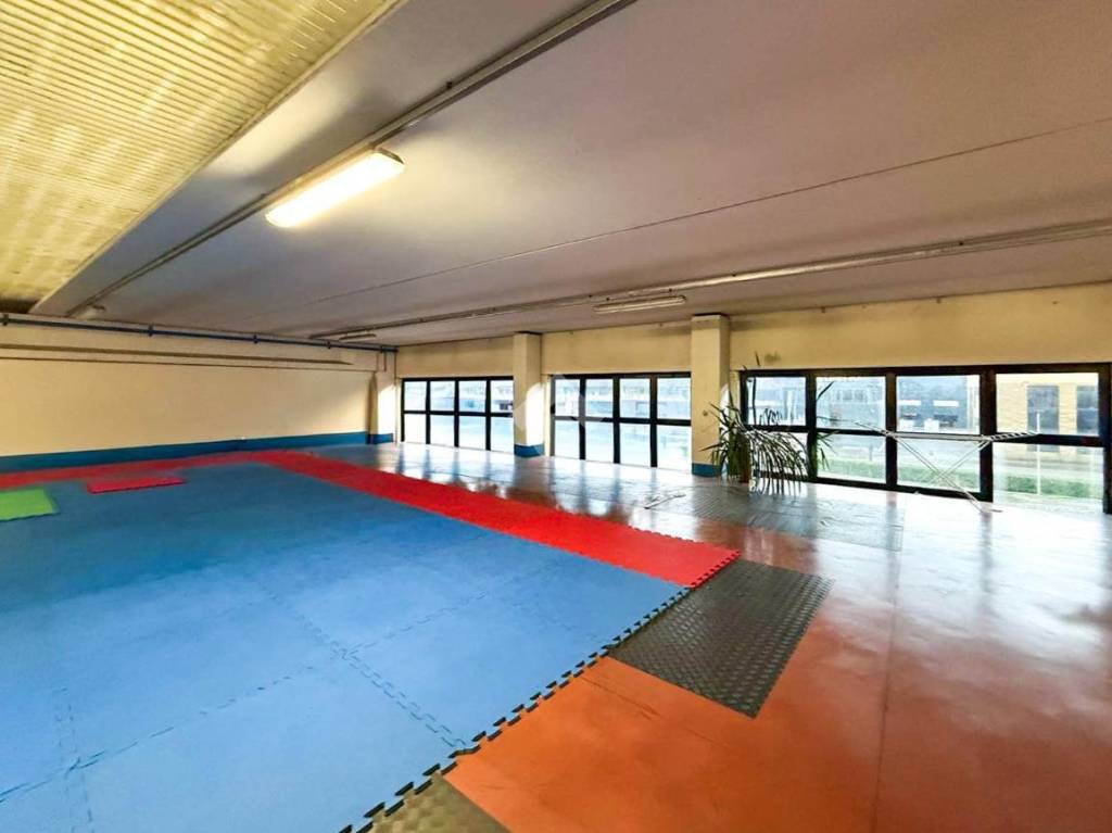 immagine annuncio 9 di 15