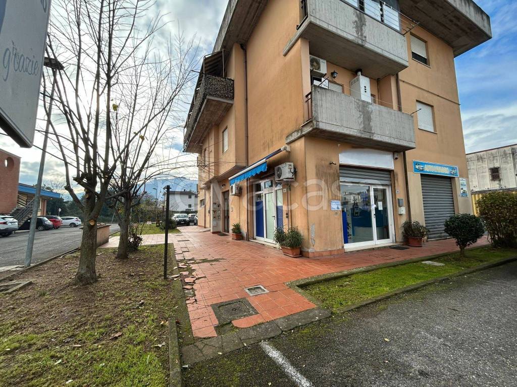 immagine annuncio 1 di 6