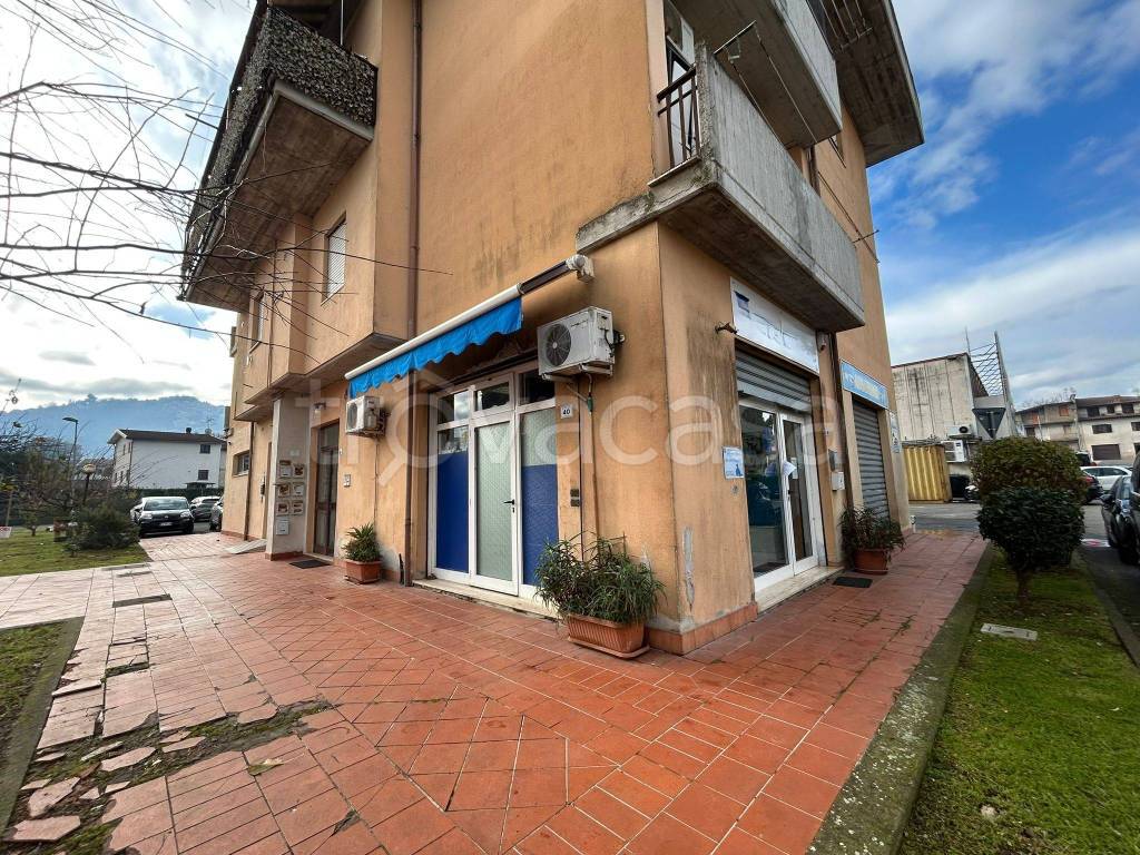 immagine annuncio 2 di 6