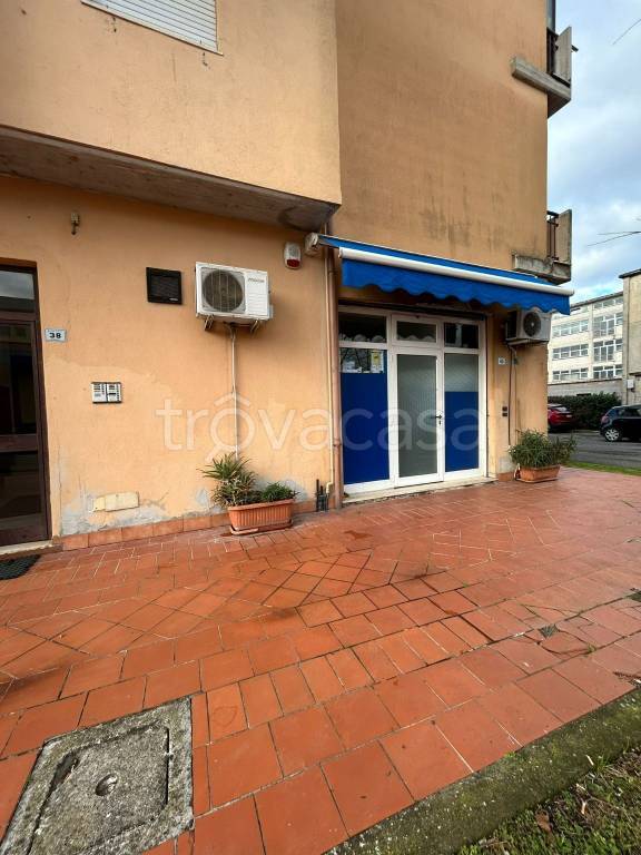 immagine annuncio 3 di 6