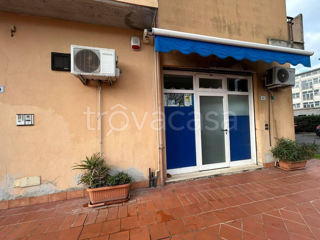 immagine annuncio 4 di 6