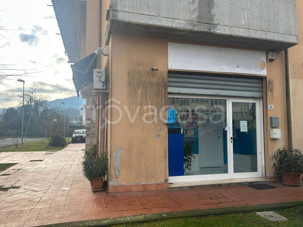 immagine annuncio 5 di 6