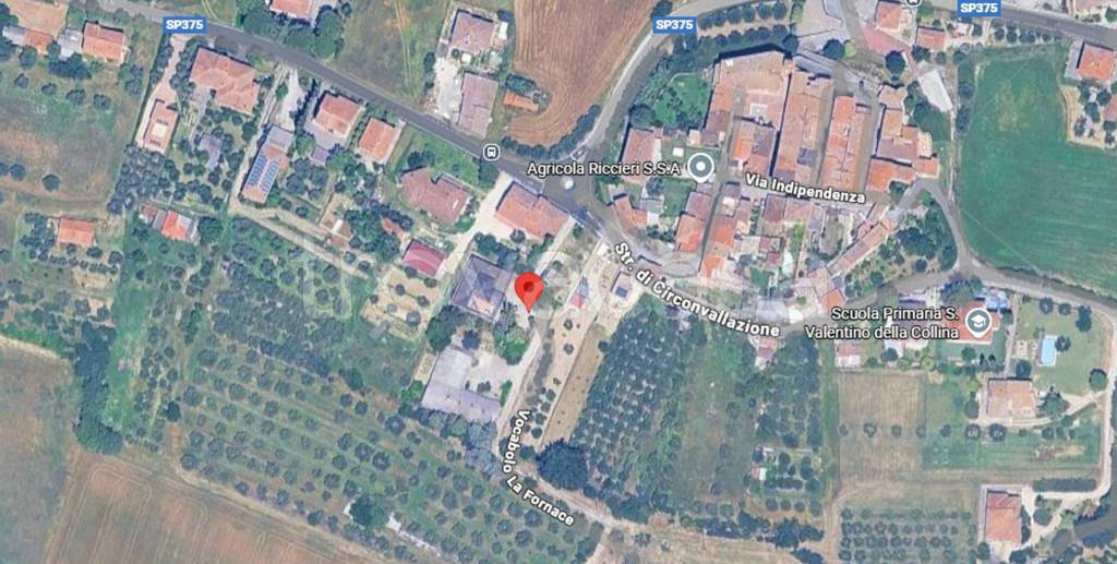 immagine annuncio 3 di 12