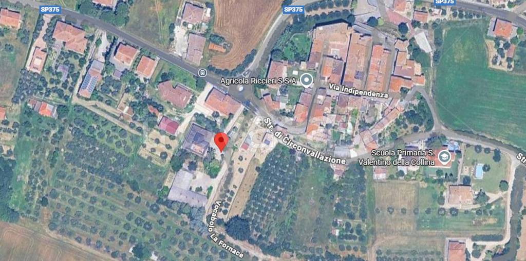 immagine annuncio 4 di 12