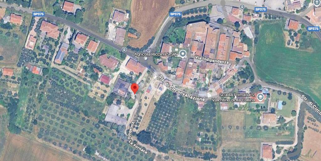 immagine annuncio 10 di 12