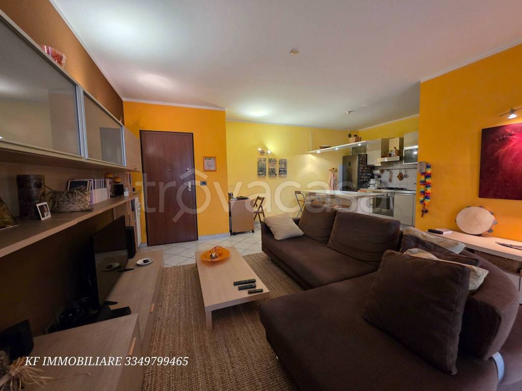 immagine annuncio 11 di 15