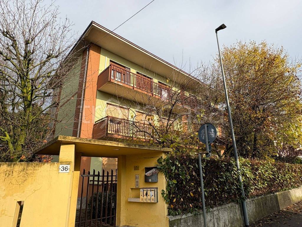 immagine annuncio 2 di 15