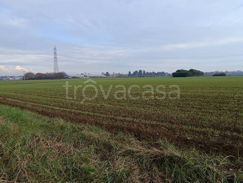 immagine annuncio 2 di 6