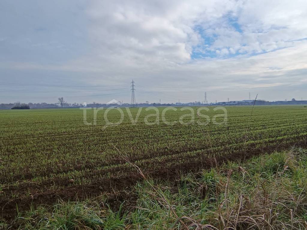 immagine annuncio 3 di 6