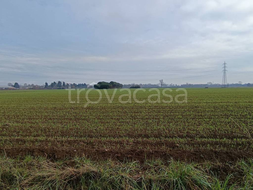 immagine annuncio 4 di 6