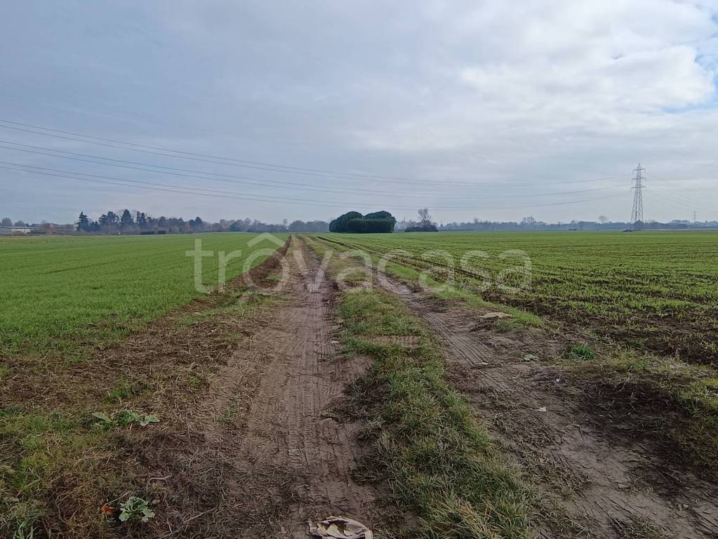 immagine annuncio 5 di 6