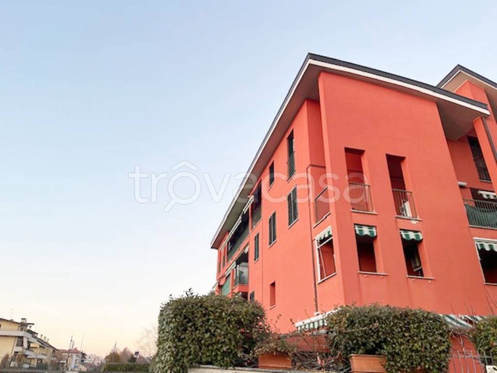 immagine annuncio 8 di 15