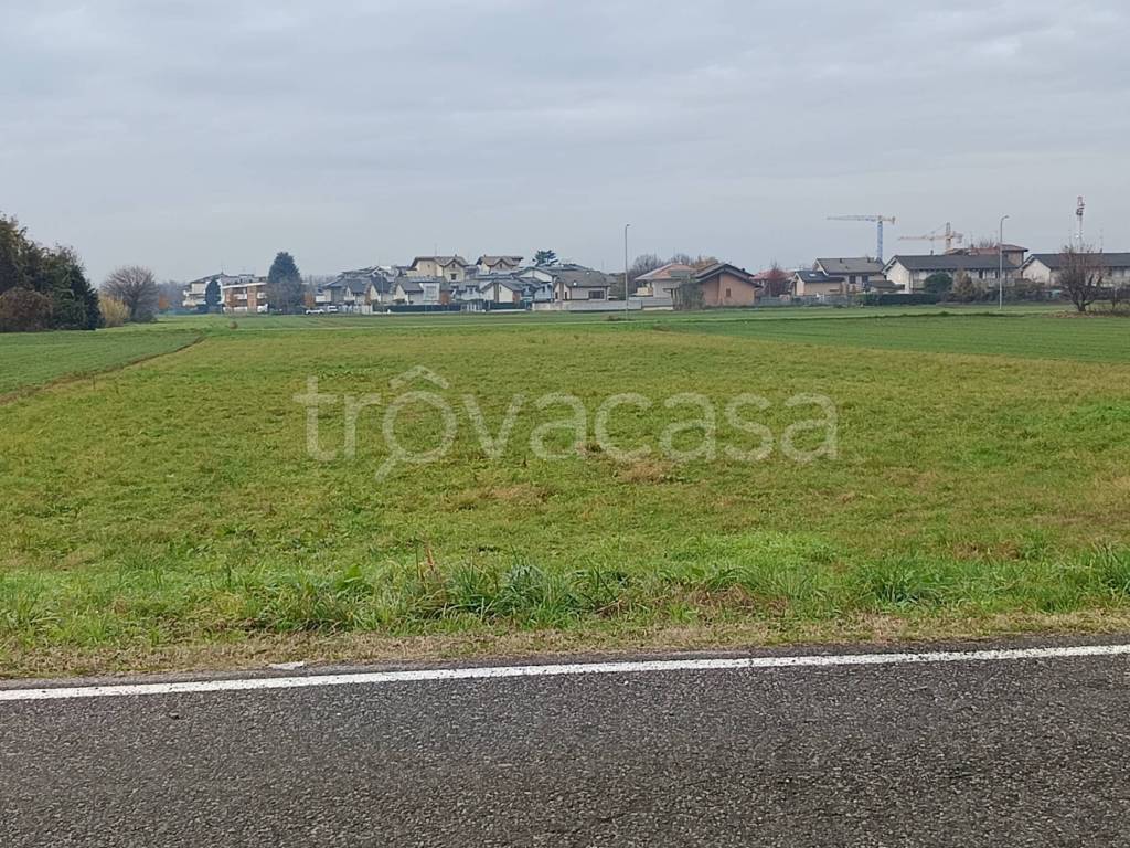 immagine annuncio 3 di 10