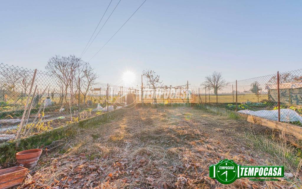 immagine annuncio 5 di 13