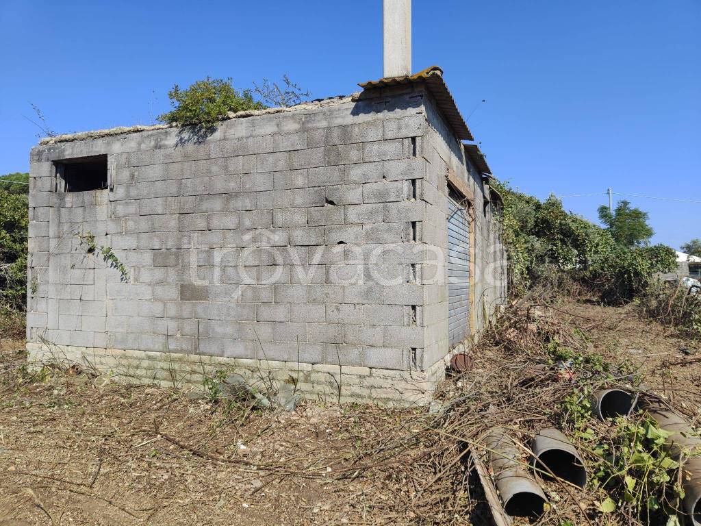 immagine annuncio 3 di 12