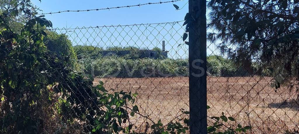 immagine annuncio 5 di 12