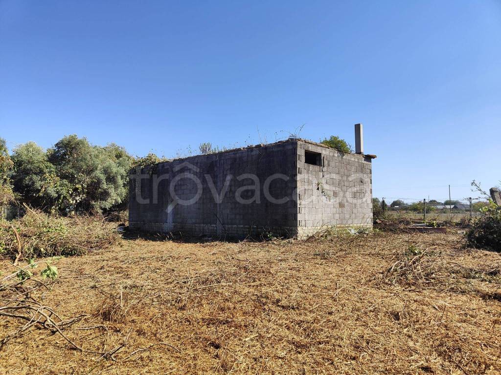 immagine annuncio 8 di 12