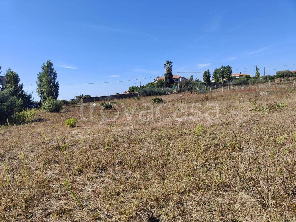 immagine annuncio 9 di 12