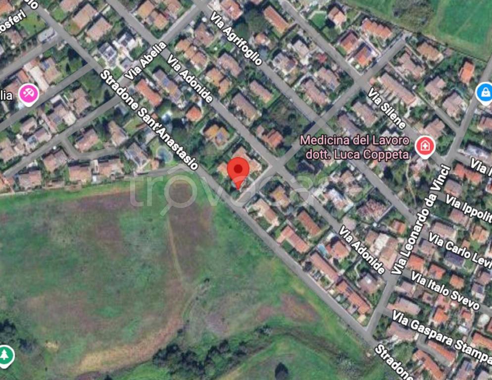 immagine annuncio 9 di 10