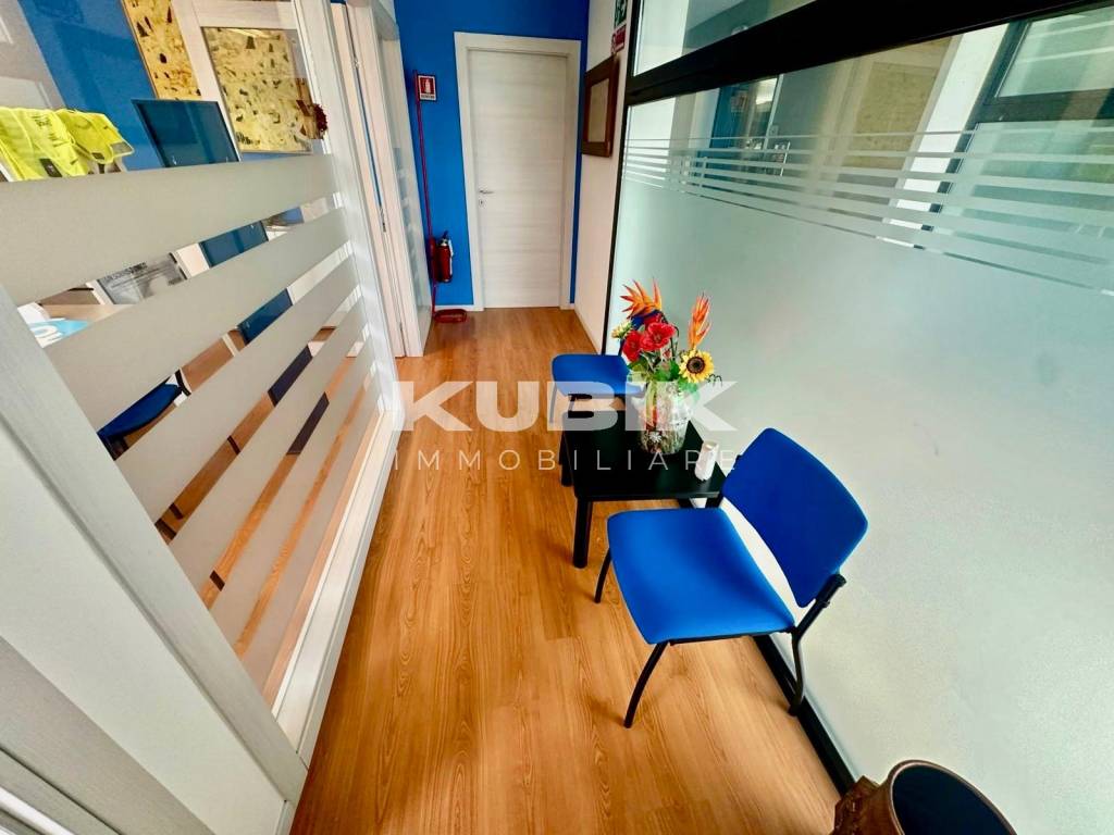 immagine annuncio 6 di 14