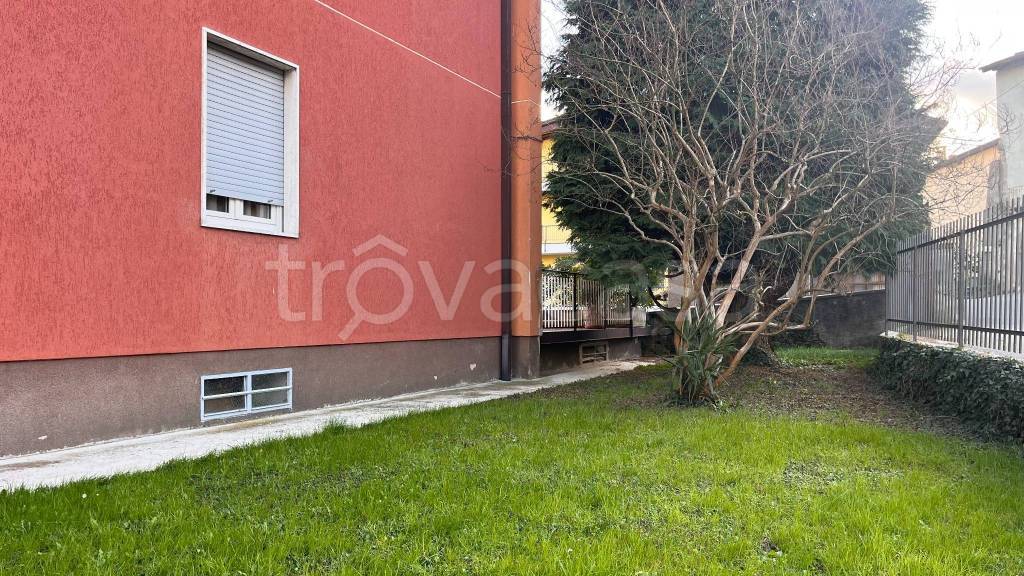 immagine annuncio 3 di 14