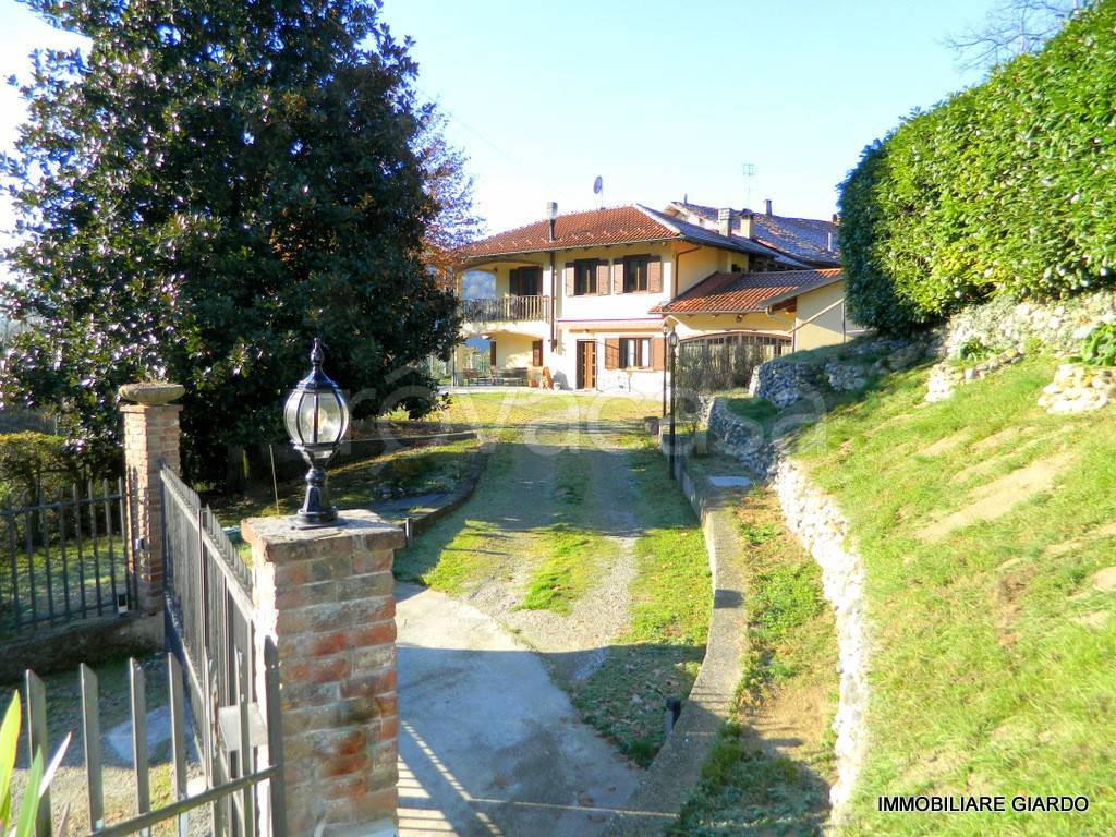 immagine annuncio 11 di 15