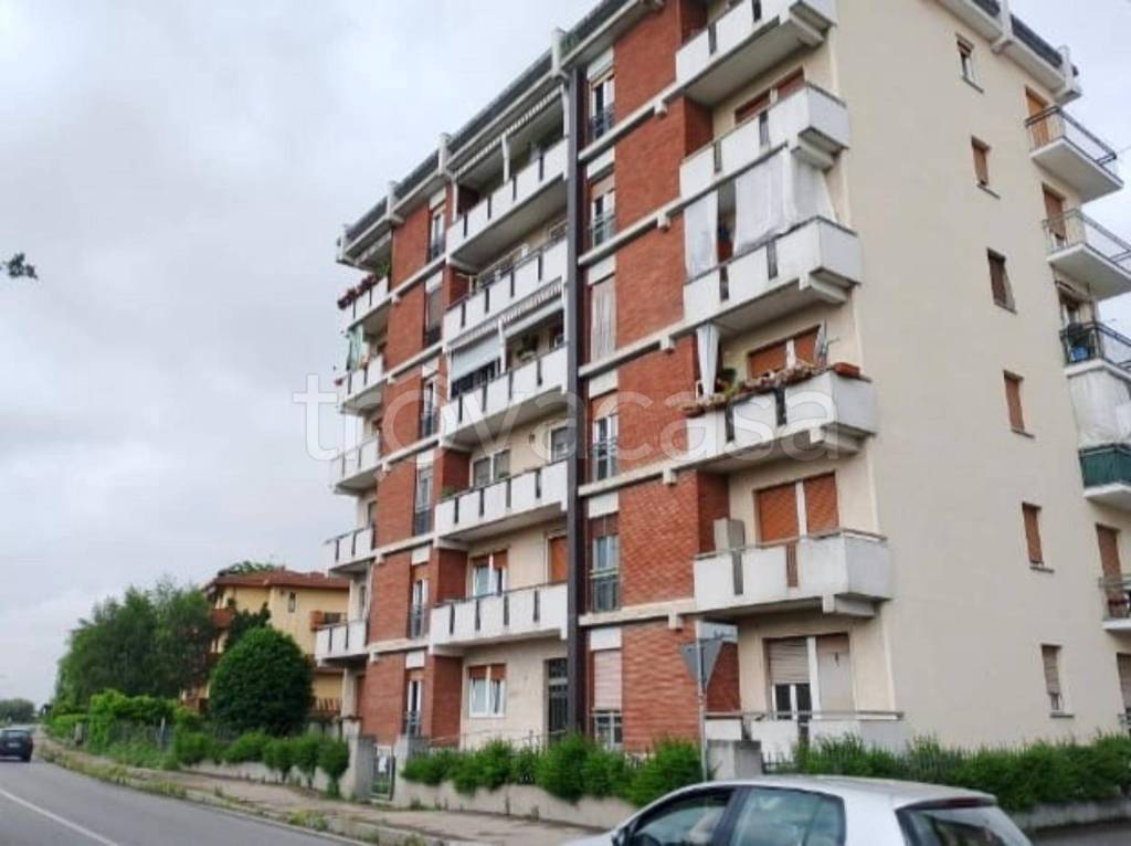 immagine annuncio 3 di 11