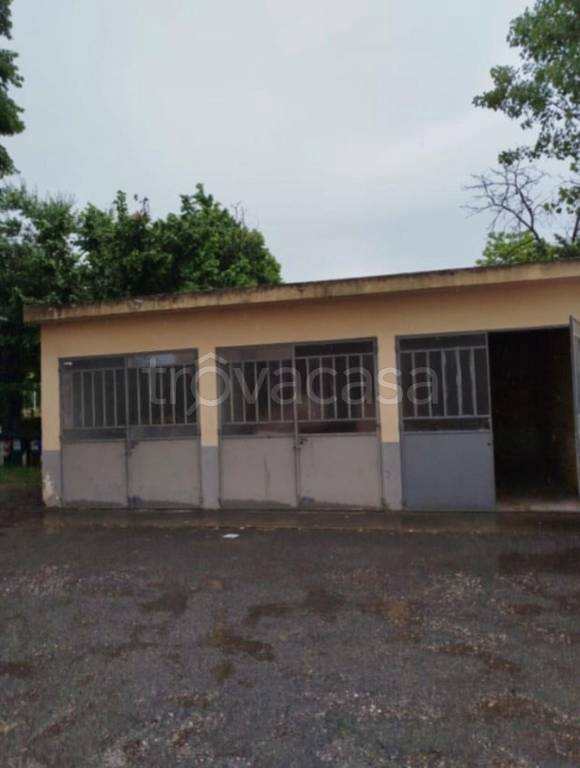 immagine annuncio 10 di 11