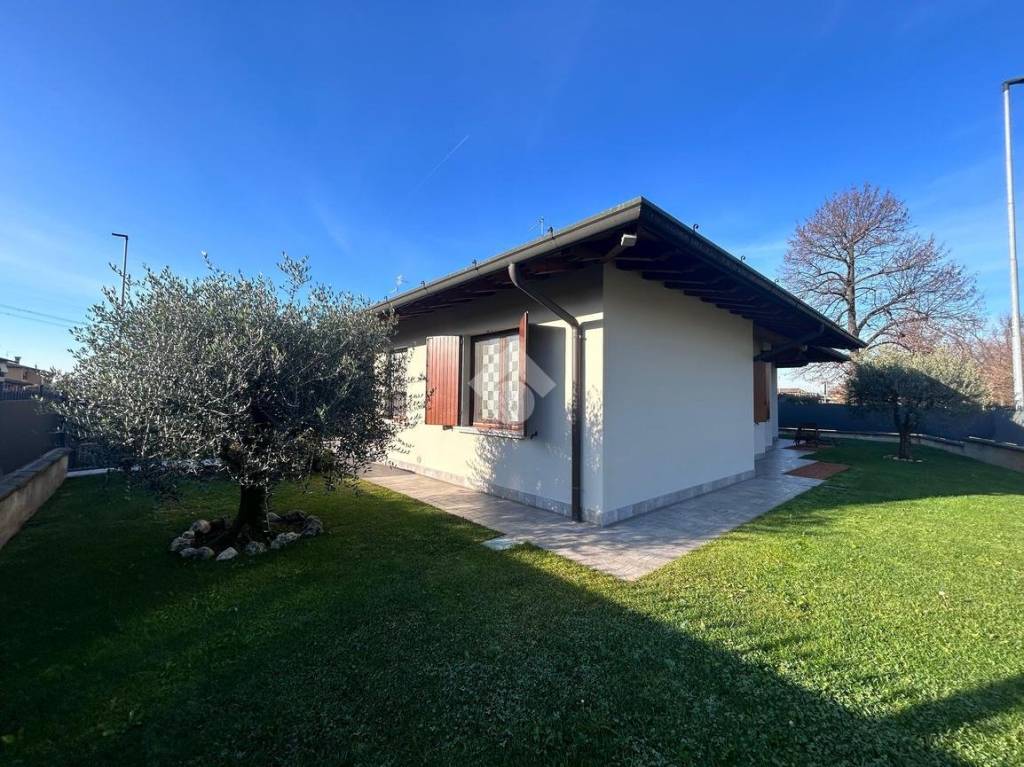 immagine annuncio 4 di 15